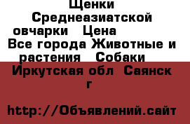 Щенки Среднеазиатской овчарки › Цена ­ 30 000 - Все города Животные и растения » Собаки   . Иркутская обл.,Саянск г.